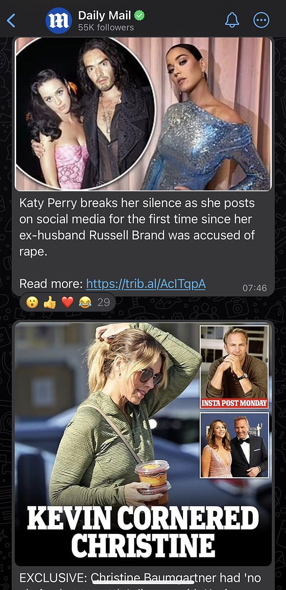 После того, как вы присоединились к каналу The Mail, обязательно нажмите значок колокольчика в верхней части экрана, чтобы получать уведомления.