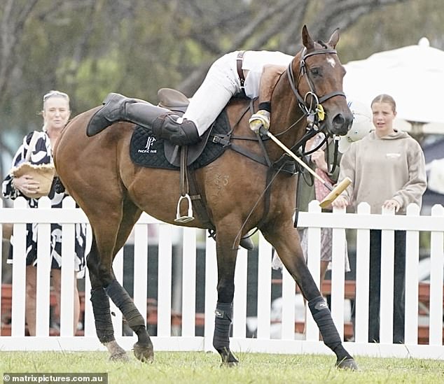 На шокирующем показе на выставке Pacific Fair Magic Millions Polo & ShowJumping аргентинскую модель можно было увидеть цепляющейся за шею своего пони для игры в поло.