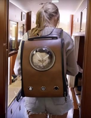 Тейлор Свифт несет своего кота в рюкзаке, очень похожем на тот, что изображен на рекламном плакате фильма в ее документальном фильме «Мисс Американа 2020».