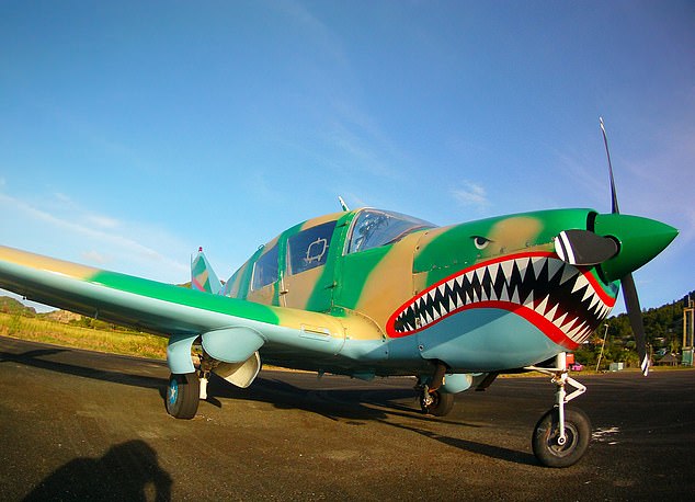 Bellanca 17-30A Super Viking Роберта Сакса изображена здесь, в сообщении на Facebook.