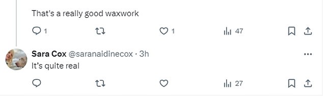 Поклонники восхваляют восковую фигуру на X, говоря, что она является точной копией, говоря: «Она совершенно настоящая», «Это действительно хорошая восковая фигура», «Очень реалистичная», «Это замечательно!»