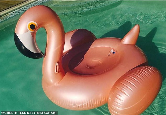 На открытом воздухе установлен шикарный плетеный стол и стулья, которые идеально подходят для проведения барбекю в летние месяцы, а в жаркие дни часто можно провести время в бассейне с разнообразными надувными платформами в тематике животных.