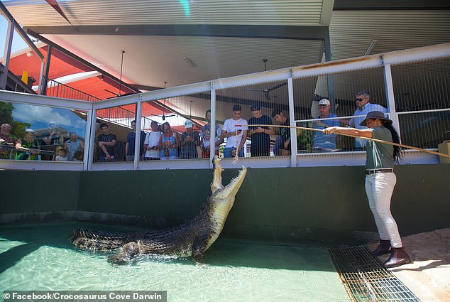 Crocosaurus Cove, герпетарий и аквариум с крокодилами, который держал Берта в неволе с 2008 года, объявил о смерти Берта в понедельник.